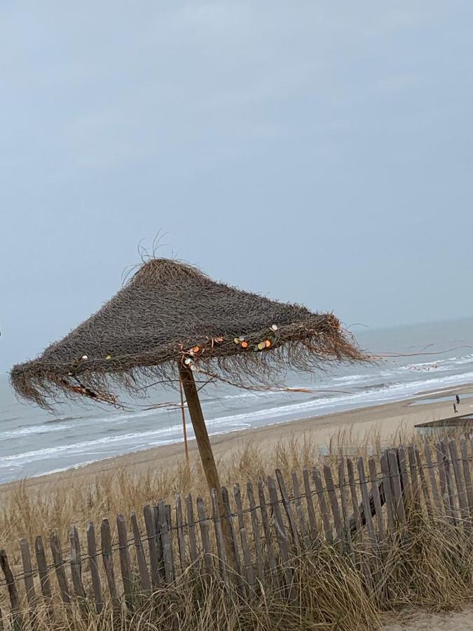 Appartement 'T Zomerhuis Zandvoort Exteriér fotografie